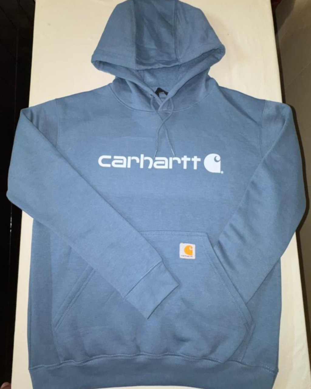 Soft, cozy Branded hoodie for everyday style Sky Blue